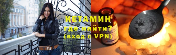 гашик Алексин