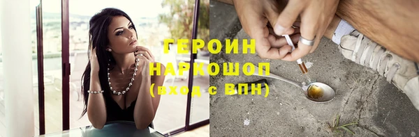 гашик Алексин