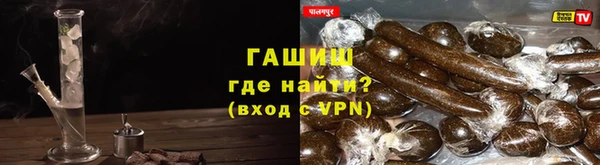 гашик Алексин