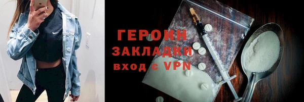 гашик Алексин