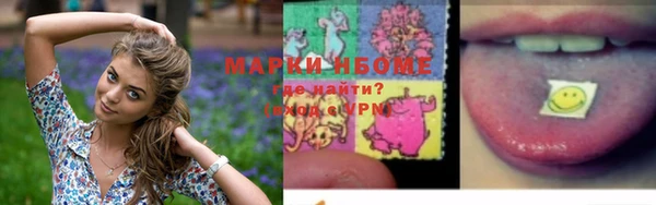 гашик Алексин