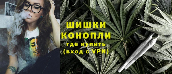 спайс Алзамай