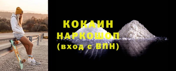гашик Алексин