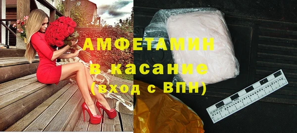 гашик Алексин