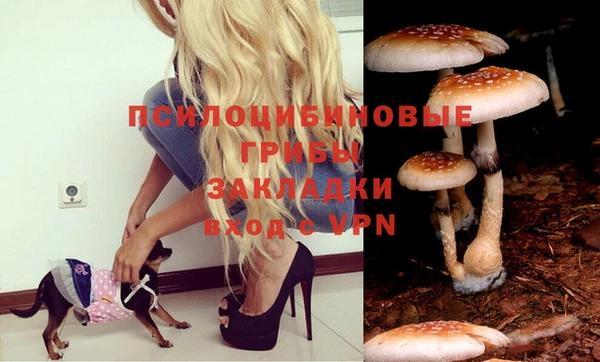 спайс Алзамай