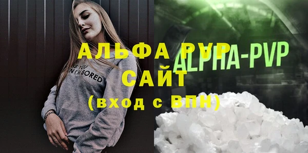 гашик Алексин