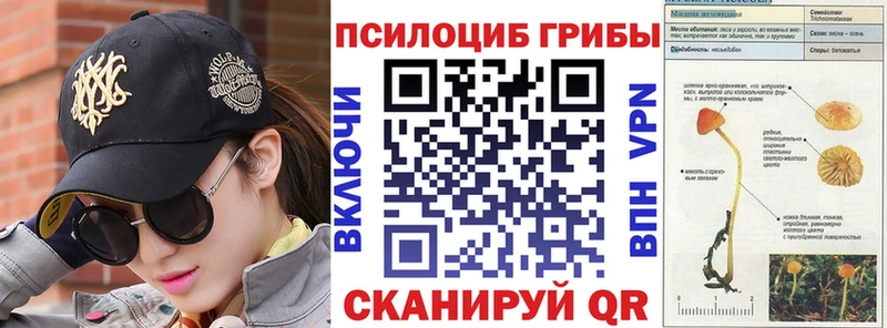 Галлюциногенные грибы Psilocybine cubensis Березники